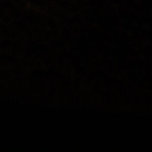 Meet your Posher, Lola